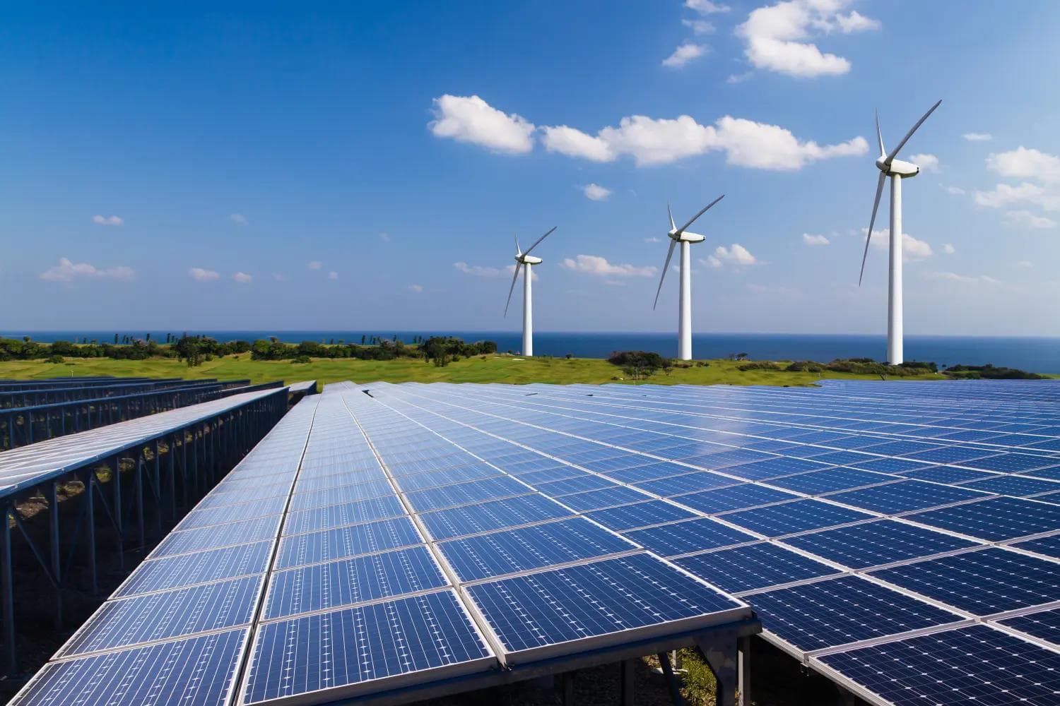 Renewable Energy illustration